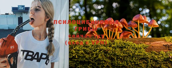 гашик Армянск