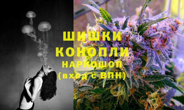 меф Арсеньев